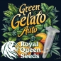 Preview: Cookies Gelato Seeds Auto (Autoflower Indica)